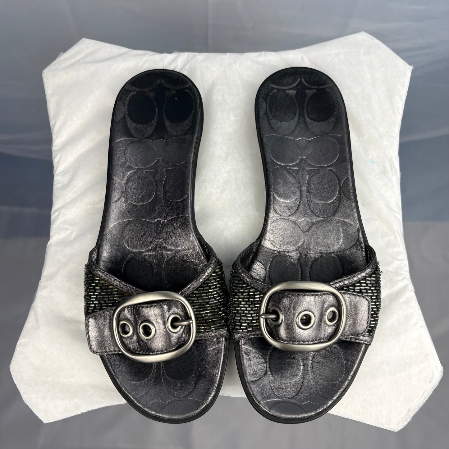The Silver Buckle Sandals