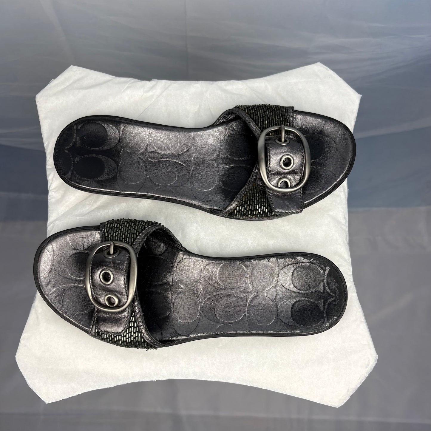 The Silver Buckle Sandals