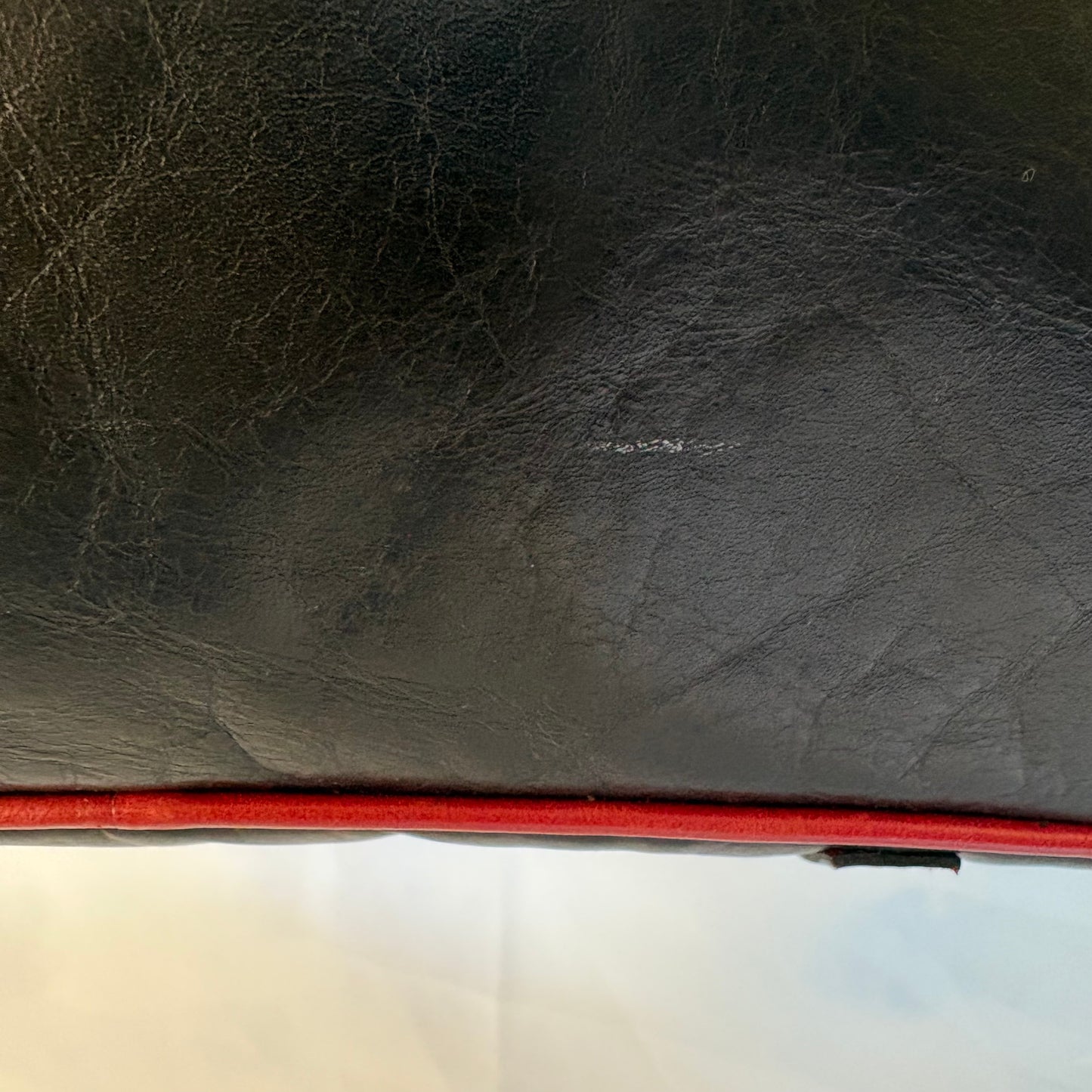 The Zebra Trim Shoulderbag