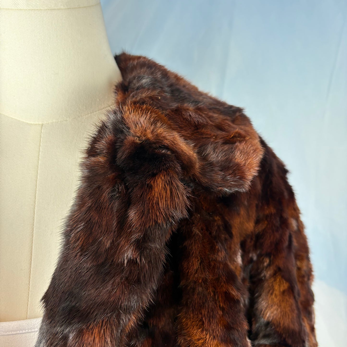 The Scandinavian Mink