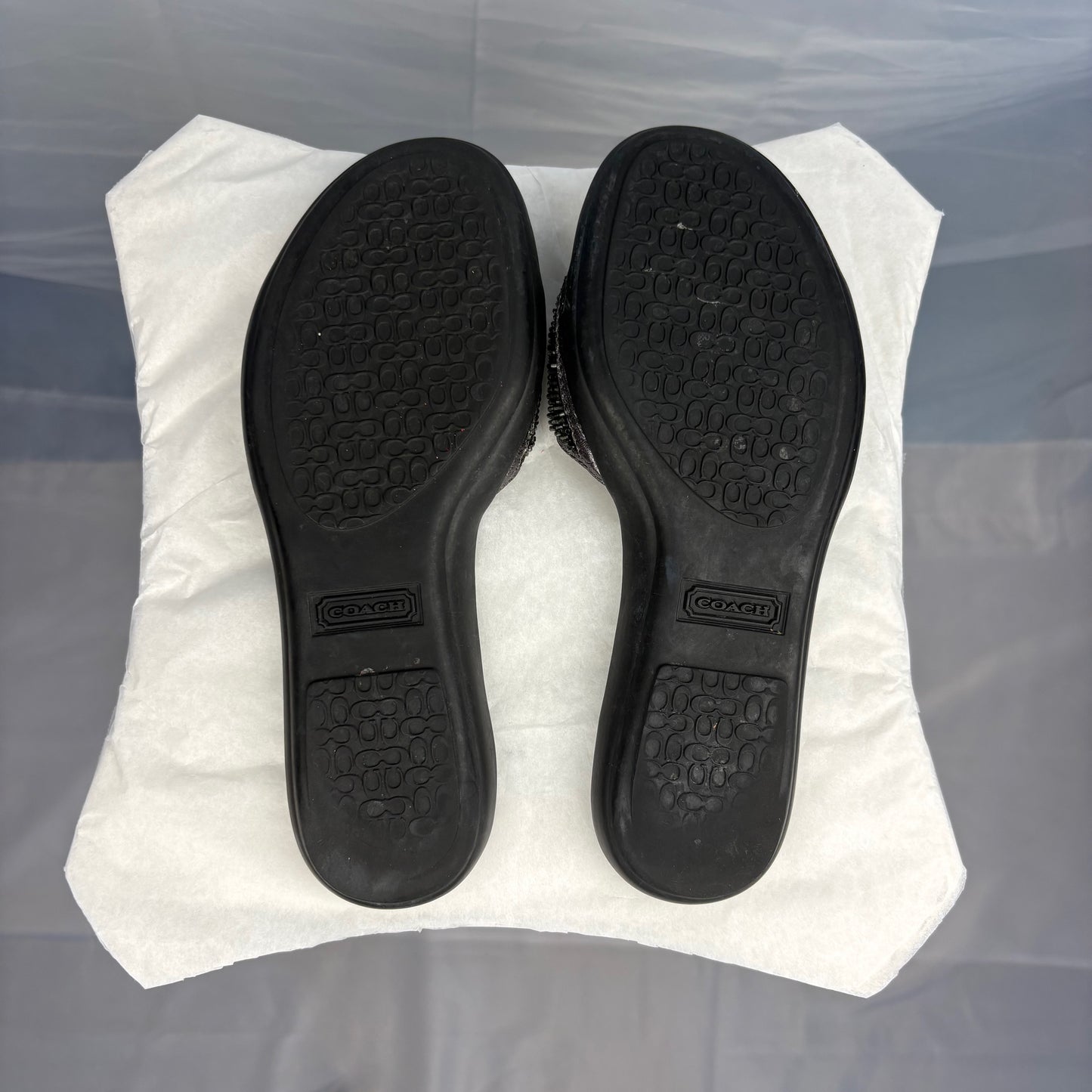 The Silver Buckle Sandals