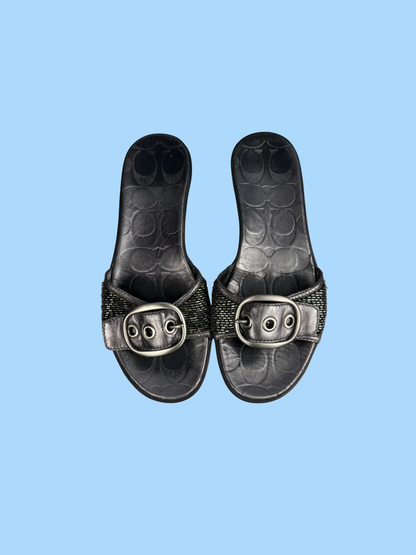 The Silver Buckle Sandals
