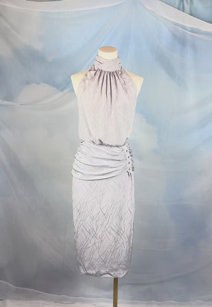 The Silver Ruched Halter Dress